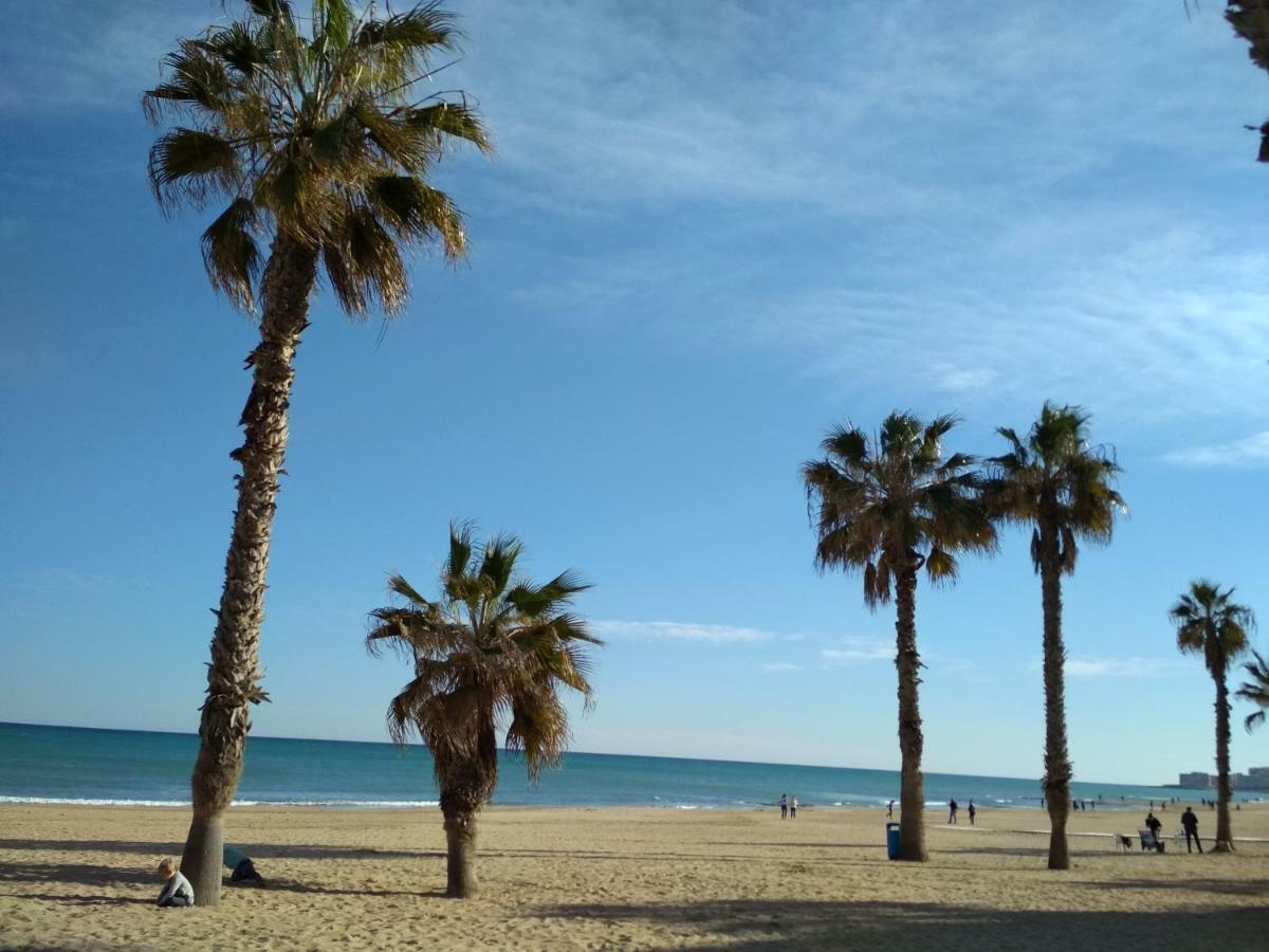 Apartment Sunny La Mata ラ・マタ エクステリア 写真